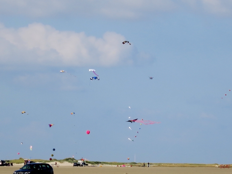 Roemoe_2014_130