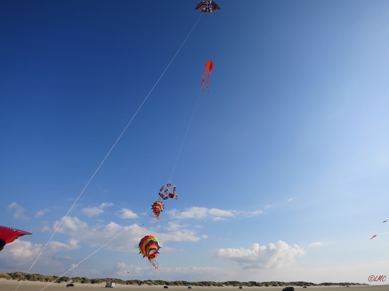 Roemoe_2014_131