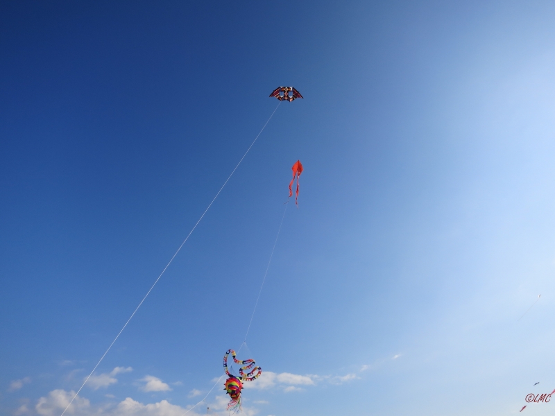Roemoe_2014_132