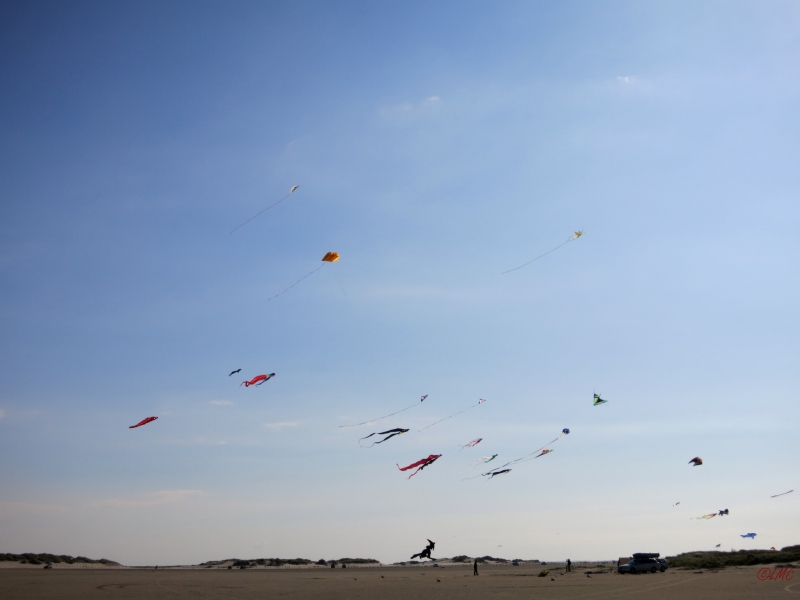 Roemoe_2014_133