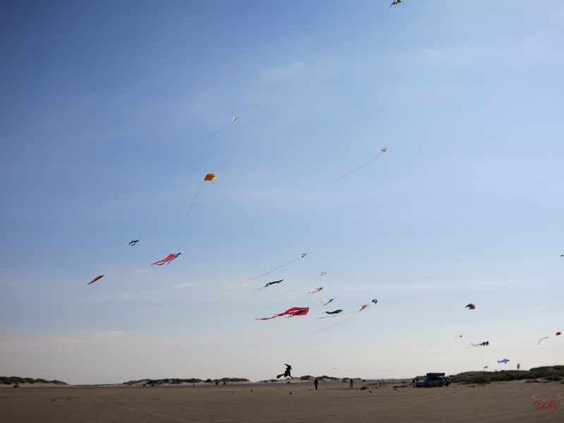 Roemoe_2014_134