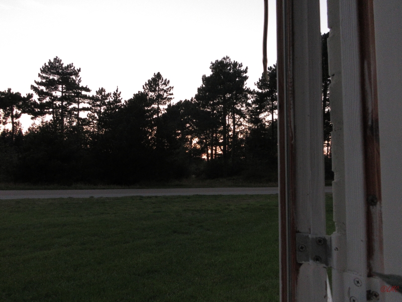 Roemoe_2014_135