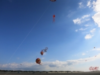 Roemoe_2014_110