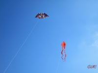 Roemoe_2014_111