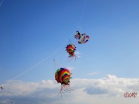 Roemoe_2014_112