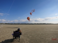 Roemoe_2014_113