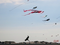 Roemoe_2014_114