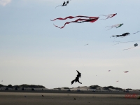 Roemoe_2014_115