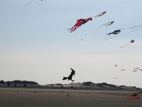 Roemoe_2014_116