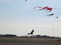 Roemoe_2014_117