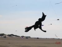 Roemoe_2014_119