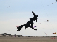Roemoe_2014_122