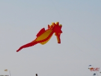 Roemoe_2014_125