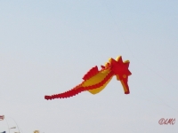 Roemoe_2014_126