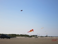 Roemoe_2014_127