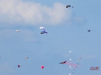 Roemoe_2014_128