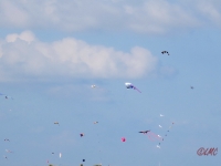 Roemoe_2014_129