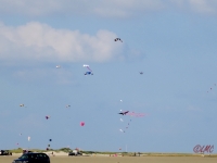 Roemoe_2014_130
