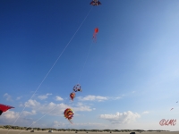 Roemoe_2014_131