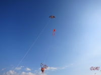Roemoe_2014_132