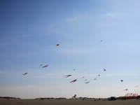 Roemoe_2014_133