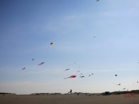 Roemoe_2014_134