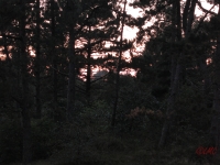 Roemoe_2014_138