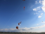 Roemoe_2014_110