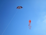 Roemoe_2014_111