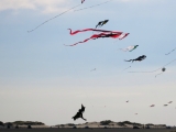 Roemoe_2014_114