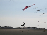 Roemoe_2014_116