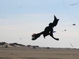 Roemoe_2014_119