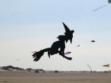 Roemoe_2014_122