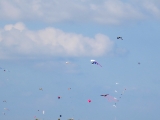 Roemoe_2014_129
