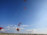 Roemoe_2014_131
