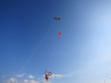 Roemoe_2014_132