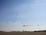 Roemoe_2014_134