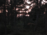 Roemoe_2014_138