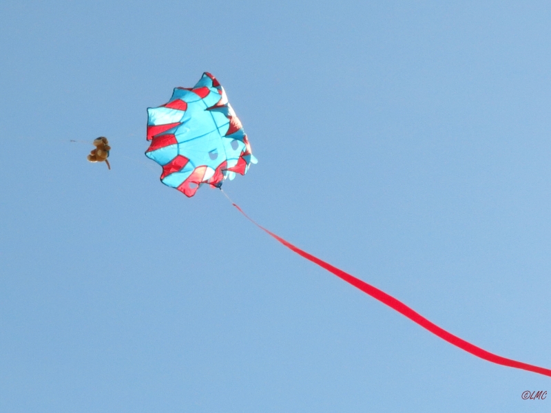 Roemoe_2014_139