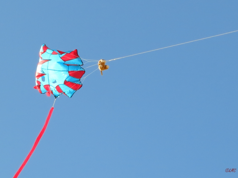 Roemoe_2014_141