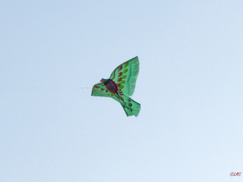 Roemoe_2014_142