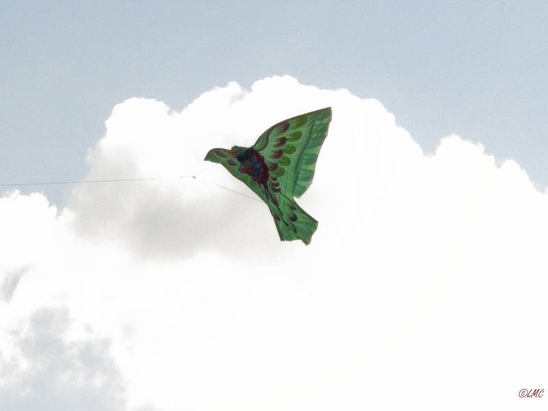 Roemoe_2014_143