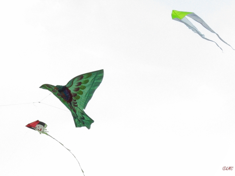 Roemoe_2014_144