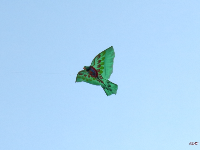 Roemoe_2014_145