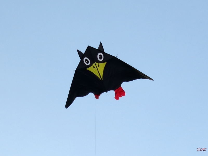 Roemoe_2014_146