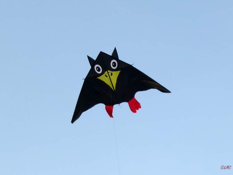 Roemoe_2014_147