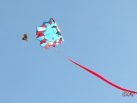Roemoe_2014_139