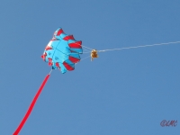 Roemoe_2014_140