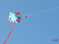 Roemoe_2014_141