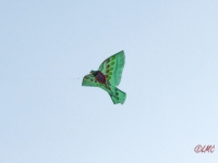 Roemoe_2014_142